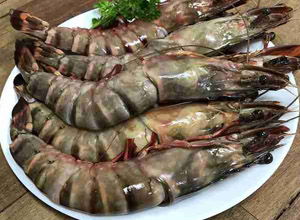 Tiger prawns jumbo