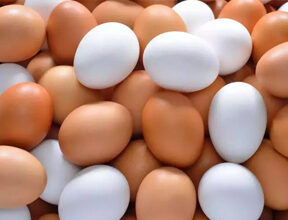 eggs